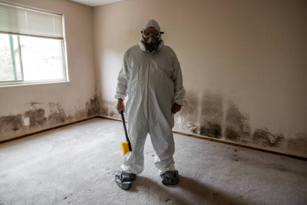 Best DIY Mold Remediation Support Services in Scaggsville, MD